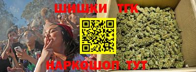 тгк Гусев