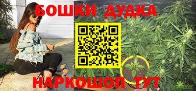 тгк Гусев