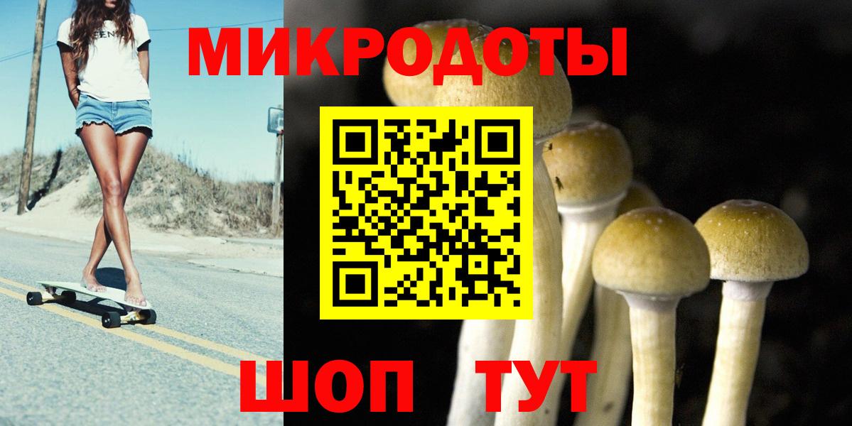 Десногорск  Галлюциногенные грибы мухоморы  Галлюциногенные грибы прущие грибы  Вход с VPN 